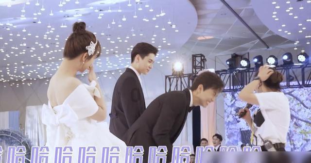 救援萌老虎